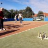 Őszi sportolimpia 2019